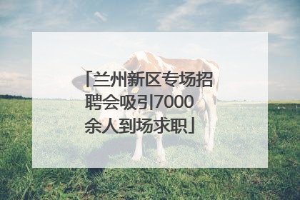 兰州新区专场招聘会吸引7000余人到场求职