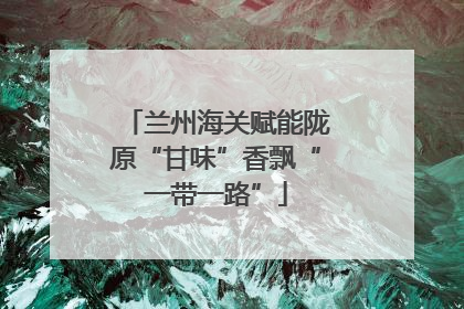 兰州海关赋能陇原“甘味”香飘“一带一路”