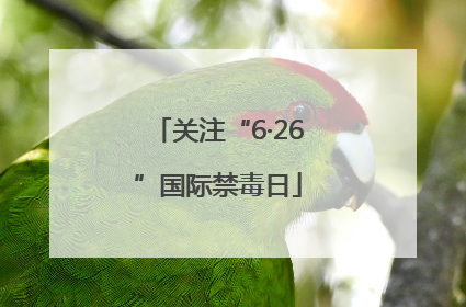 关注“6·26”国际禁毒日