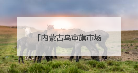 内蒙古乌审旗市场监管局联动共同开展肉制品专项检查