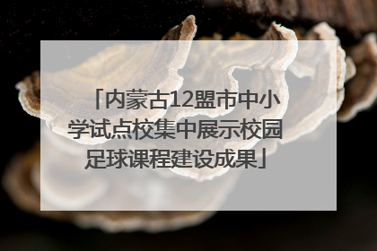 内蒙古12盟市中小学试点校集中展示校园足球课程建设成果