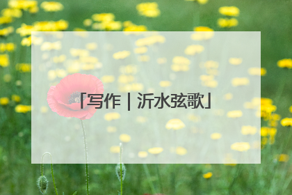 写作｜沂水弦歌