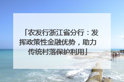 农发行浙江省分行：发挥政策性金融优势，助力传统村落保护利用