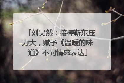 刘昊然：接棒靳东压力大，赋予《温暖的味道》不同情感表达