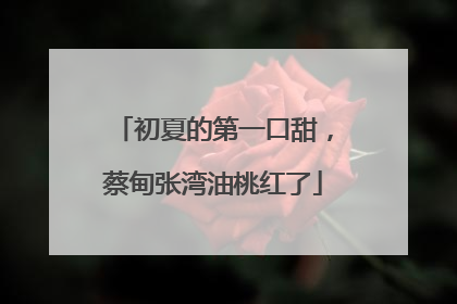 初夏的第一口甜，蔡甸张湾油桃红了