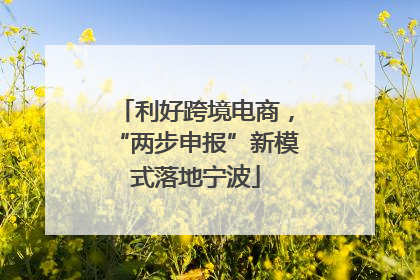 利好跨境电商，“两步申报”新模式落地宁波