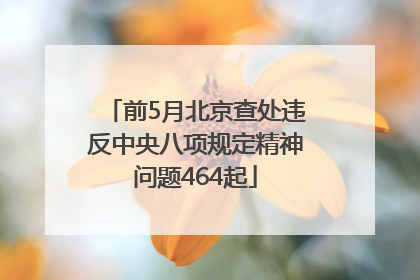 前5月北京查处违反中央八项规定精神问题464起