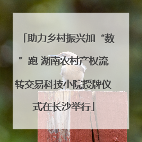 助力乡村振兴加“数”跑 湖南农村产权流转交易科技小院授牌仪式在长沙举行