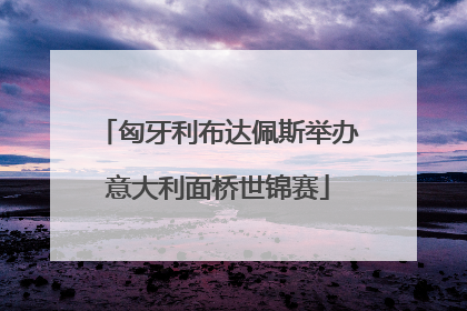 匈牙利布达佩斯举办意大利面桥世锦赛