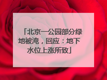 北京一公园部分绿地被淹，回应：地下水位上涨所致
