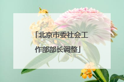 北京市委社会工作部部长调整