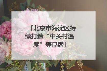北京市海淀区持续打造“中关村温度”等品牌