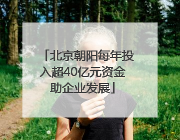 北京朝阳每年投入超40亿元资金助企业发展