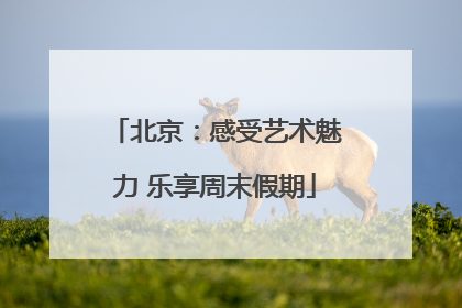 北京：感受艺术魅力 乐享周末假期