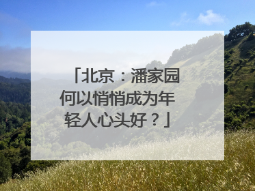 北京：潘家园何以悄悄成为年轻人心头好？