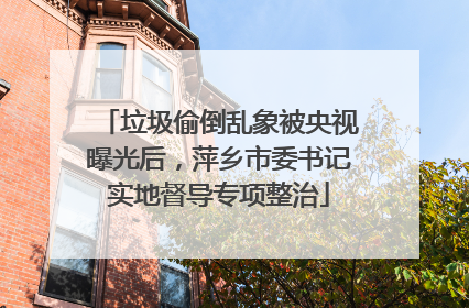 垃圾偷倒乱象被央视曝光后，萍乡市委书记实地督导专项整治