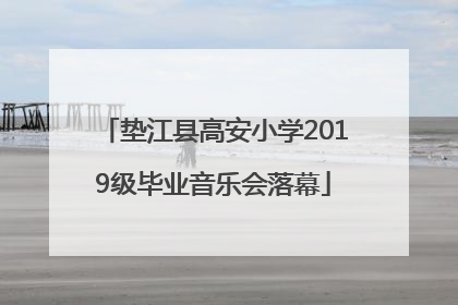 垫江县高安小学2019级毕业音乐会落幕