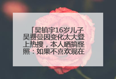 吴镇宇16岁儿子吴费曼因变化太大登上热搜，本人晒搞怪照：如果不喜欢现在的我可以离开