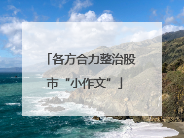 各方合力整治股市“小作文”