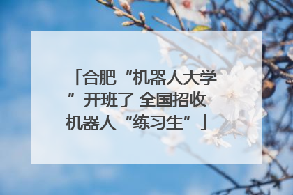 合肥“机器人大学”开班了 全国招收机器人“练习生”