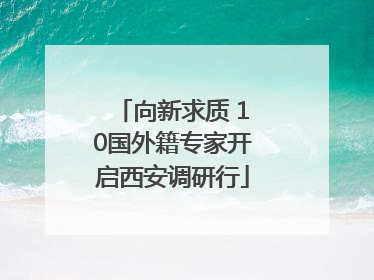 向新求质 10国外籍专家开启西安调研行