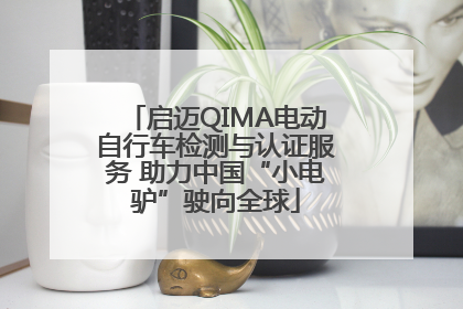 启迈QIMA电动自行车检测与认证服务 助力中国“小电驴”驶向全球