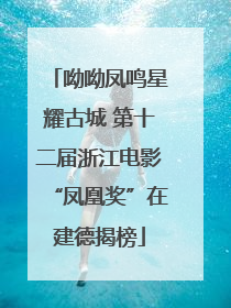 呦呦凤鸣星耀古城 第十二届浙江电影“凤凰奖”在建德揭榜