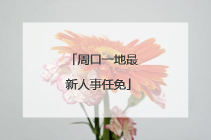 周口一地最新人事任免