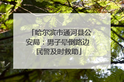 哈尔滨市通河县公安局：男子晕倒路边 民警及时救助