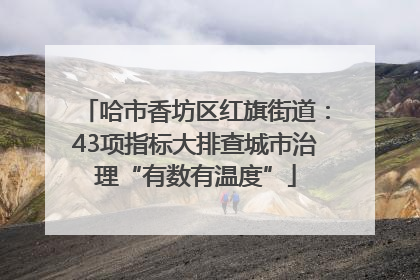 哈市香坊区红旗街道：43项指标大排查城市治理“有数有温度”