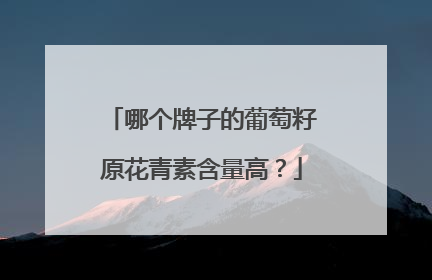 哪个牌子的葡萄籽原花青素含量高？