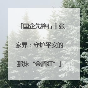 国企先锋行丨张家界：守护平安的那抹“金盾红”