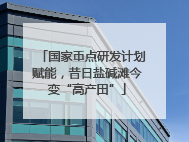 国家重点研发计划赋能，昔日盐碱滩今变“高产田”
