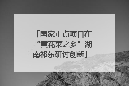 国家重点项目在“黄花菜之乡”湖南祁东研讨创新