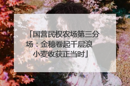 国营民权农场第三分场：金穗卷起千层浪 小麦收获正当时