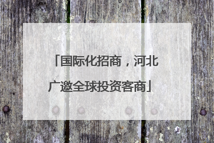 国际化招商，河北广邀全球投资客商