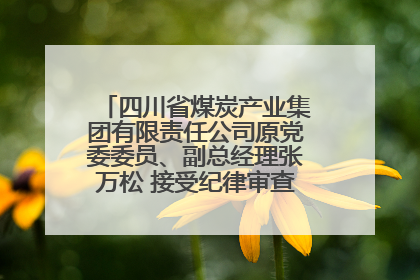 四川省煤炭产业集团有限责任公司原党委委员、副总经理张万松 接受纪律审查和监察调查