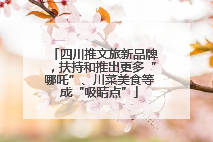 四川推文旅新品牌，扶持和推出更多“哪吒”、川菜美食等成“吸睛点”