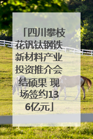 四川攀枝花钒钛钢铁新材料产业投资推介会结硕果 现场签约136亿元