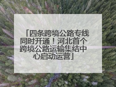 四条跨境公路专线同时开通！河北首个跨境公路运输集结中心启动运营