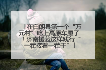 在白朗县第一个“万元村”吃上高原车厘子！济南援藏这样践行“一茬接着一茬干”