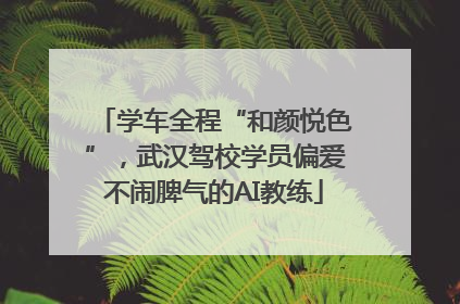 学车全程“和颜悦色”，武汉驾校学员偏爱不闹脾气的AI教练