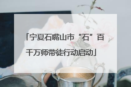 宁夏石嘴山市“石”百千万师带徒行动启动