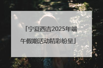 宁夏西吉2025年端午假期活动精彩纷呈
