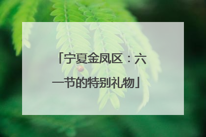 宁夏金凤区：六一节的特别礼物