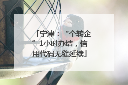 宁津：“个转企”1小时办结，信用代码无缝延续