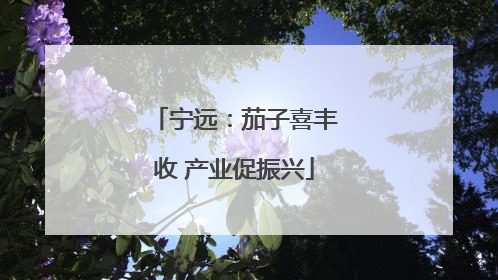 宁远：茄子喜丰收 产业促振兴