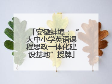 安徽蚌埠：“大中小学英语课程思政一体化建设基地”授牌