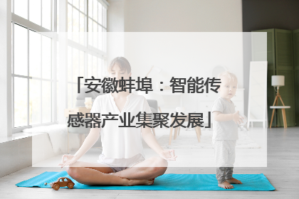 安徽蚌埠：智能传感器产业集聚发展