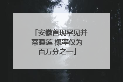 安徽首现罕见并蒂睡莲 概率仅为百万分之一